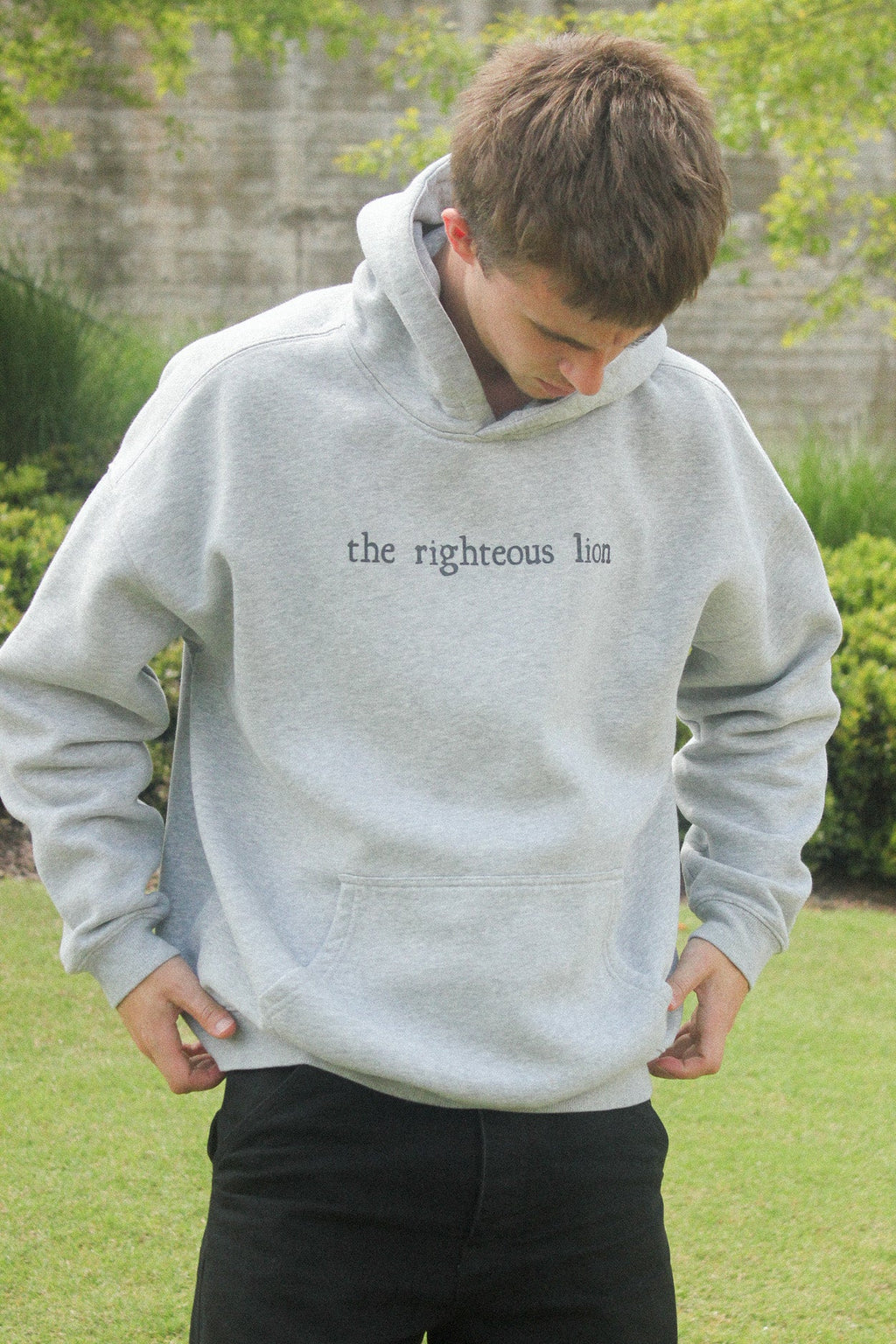 "the righteous lion" hoodie