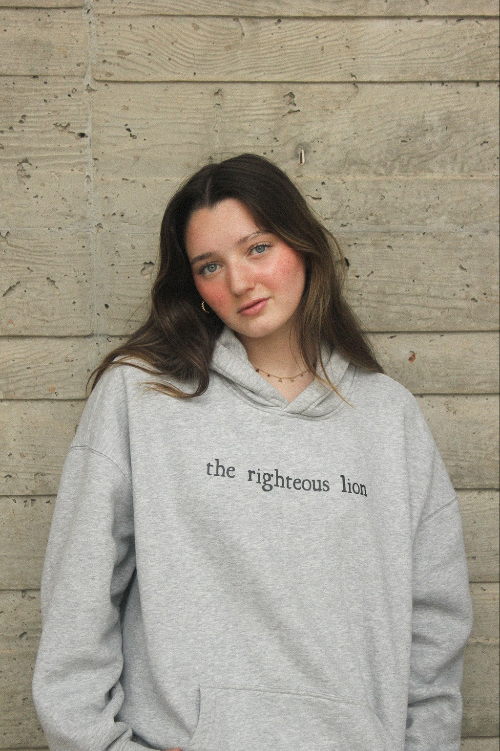 "the righteous lion" hoodie
