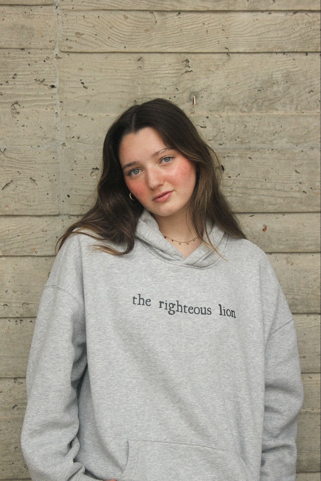 "the righteous lion" hoodie